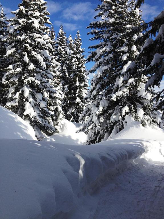 Hotel Garni Philipp Serfaus Dış mekan fotoğraf